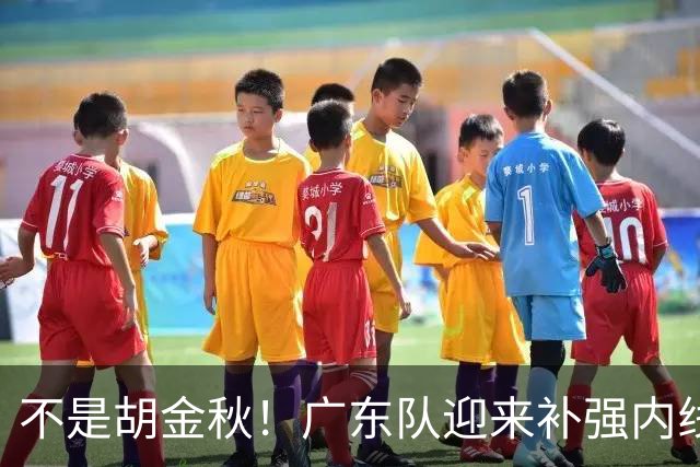 不是胡金秋！广东队迎来补强内线机会，“加强版王少杰”要来了？