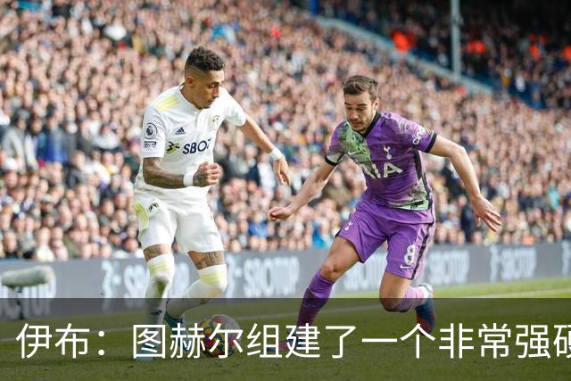 伊布：图赫尔组建了一个非常强硬的英格兰，他没有根据名气去选人