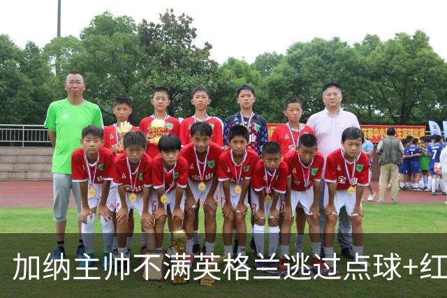 加纳主帅不满英格兰逃过点球+红牌 嘲讽VAR出去喝咖啡了