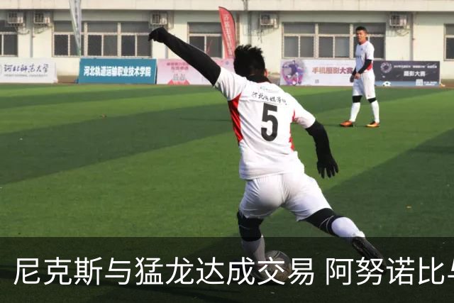 尼克斯与猛龙达成交易 阿努诺比与巴雷特互换