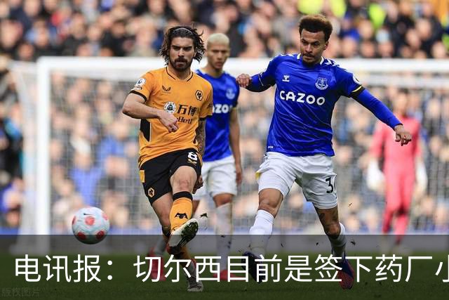 电讯报：切尔西目前是签下药厂小将阿拉伊贝戈维奇的最大热门