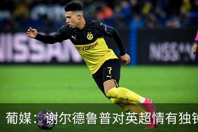 葡媒：谢尔德鲁普对英超情有独钟，俱乐部标价至少4000万欧