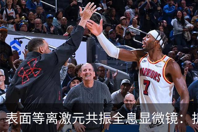 表面等离激元共振全息显微镜：折射率与厚度测量的新突破