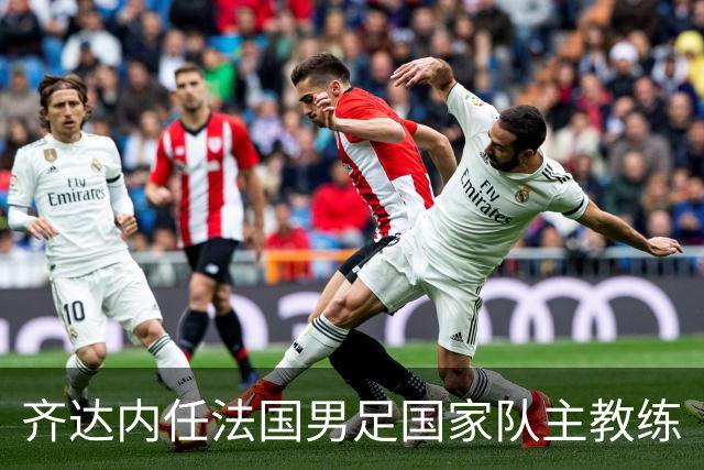 齐达内任法国男足国家队主教练